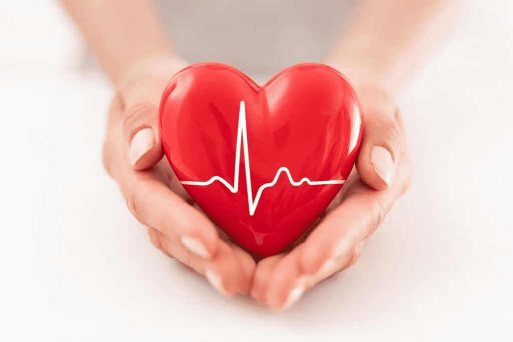 Cardiovascilaire_1515051.jpg